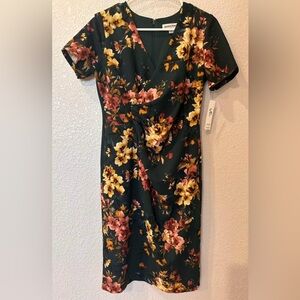 Shelby and Palmer new Dress with tags